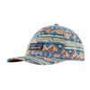Patagonia P-6 Label Trad Cap